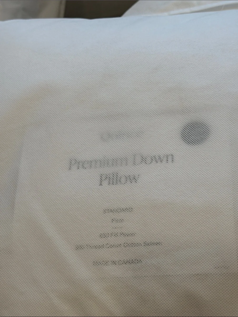 NWT Quince Premium Duck Down Pillow Standard Firm